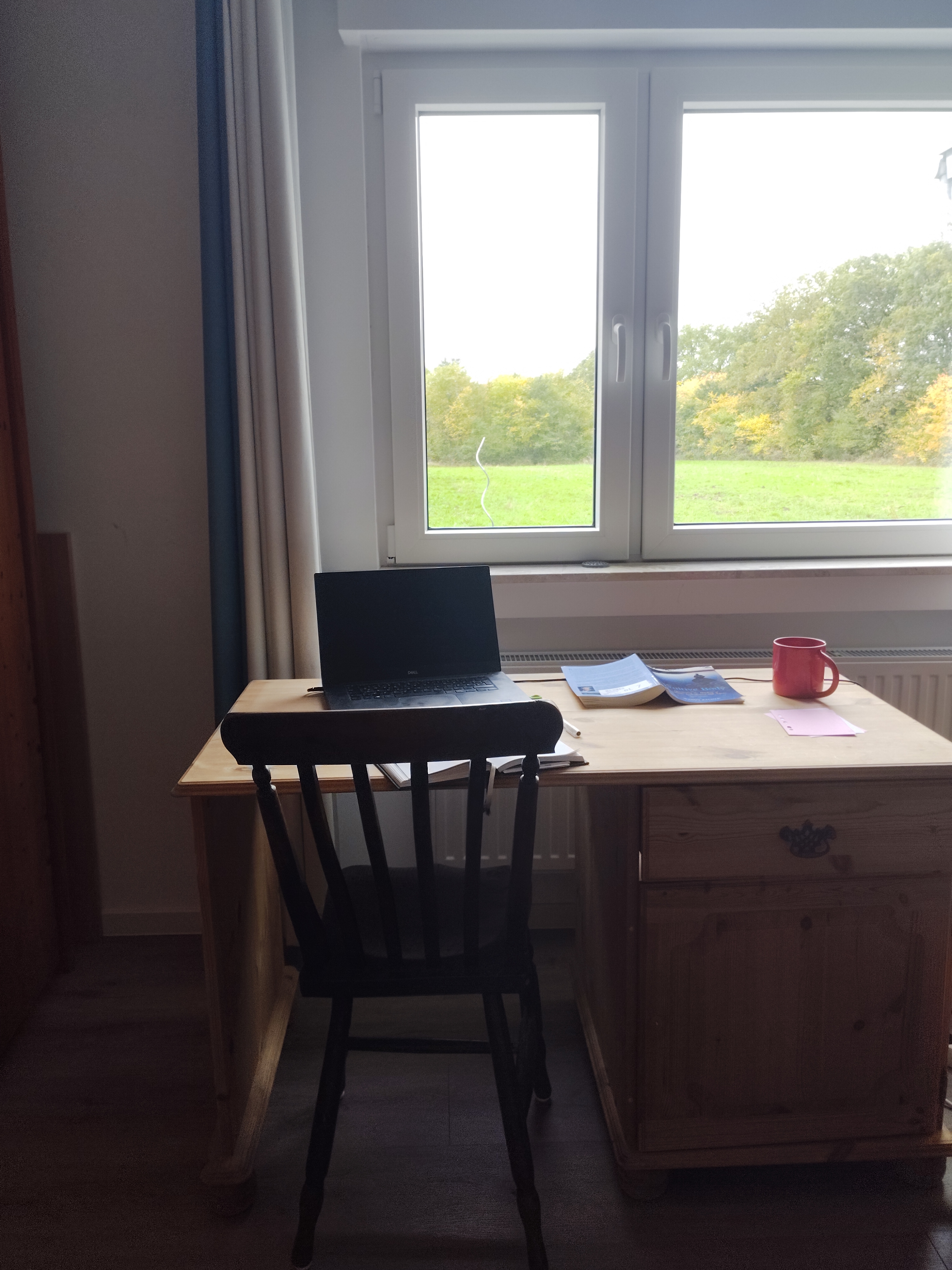 image of a desk with a laptop and a red cup overlooking a green field and some trees.