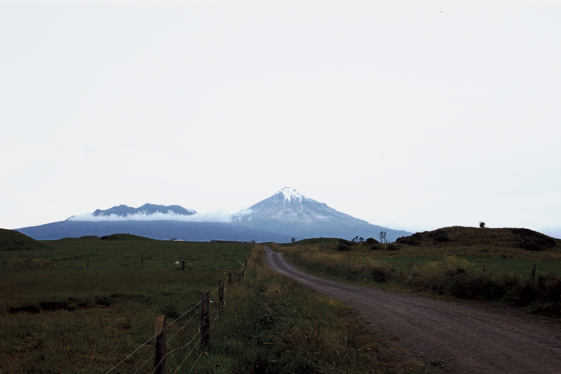 Eary morning at the beach in soft pink and blue-gray grainy hues